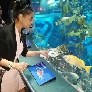 Meet your Posher, Mado